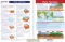 Plate Tectonics Visual Learning Guide