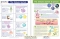 The Immune System Visual Learning Guide