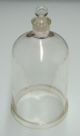 Bell Jar Glass Open Top 6 x 8 Inch