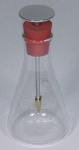 Electroscope Flask Form