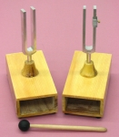 Resonant Tuning Fork Set