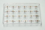 Lines of Forces / Magnetic Field Apparatus