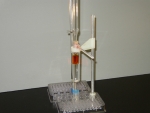 Synthesis of an Organic Acid