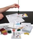 Forensic Science: Introduction to DNA Fingerprinting Kit