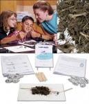 Basic Owl Pellet Study Kit