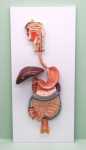 Human Digestive System