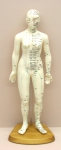 Human Female Acupuncture 48 cm