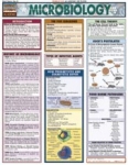 Microbiology Chart