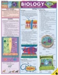 Biology Chart Illustrated