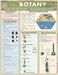 Botony Chart Biology