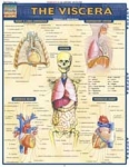 The Viscera Chart