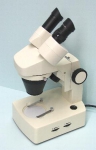 Stereo Microscope 10X - 40X