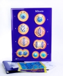 Mitosis Model Activity Set