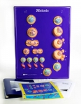 Meiosis Model Activity Set