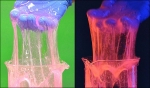 Fluorescent Slime Using Polyvinyl Alcohol