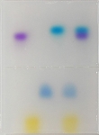 Electrophoresis: Agarose Gel Separation of Dyes