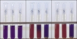 Cellular Respiration: What Sugar Does Yeast Like Best?