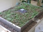 Assemble & Learn Green Roof Model