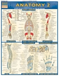 Anatomy 2 Advanced Chart