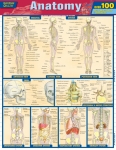 Anatomy Quizzer Chart