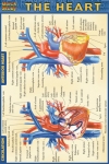 Heart Chart Compact