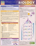 Molecular Biology Chart