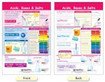 Acids, Bases & Salts Bulletin Board Chart