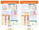 Genes & Heredity Bulletin Board Chart