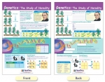 Genetics - The Study of Heredity Bulletin Board Chart