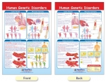 Human Genetic Disorders Bulletin Board Chart