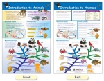Introduction to Animals Bulletin Board Chart