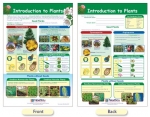 Introduction to Plants Bulletin Board Chart