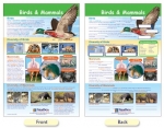 Mammals & Birds Bulletin Board Chart