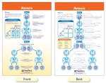 Meiosis Bulletin Board Chart