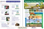 Ecosystems, Food Chains & Food Visual Learning Guide