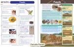 Fossils Visual Learning Guide