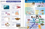 Introduction to Animals Visual Learning Guide