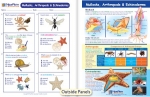 Mollusks, Arthropods & Echinoderms Visual Learning Guide