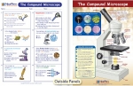 The Compound Microscope Visual Learning Guide