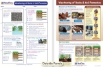 Weathering of Rocks & Soil Formation Visual Learning Guide