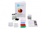 Blood Typing Kit (ABO & Rh)