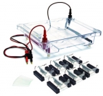 Electrophoresis Chamber 6 Gel Tank 