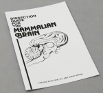 Dissection Guide for the Mammalian Brain