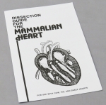 Dissection Guide for the Mammalian Heart