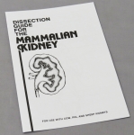 Dissection Guide for the Mammalian Kidney