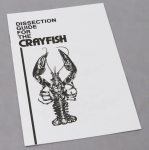 Dissection Guide for the Crayfish