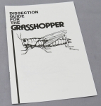 Dissection Guide for the Grasshopper