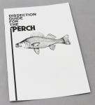 Dissection Guide for the Perch