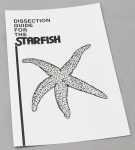 Dissection Guide for the Starfish