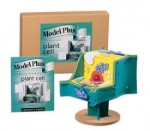 Plant Cell Model Plus